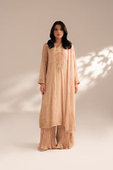 3 Piece Chiffon Embroidered Suit (FL0067)
